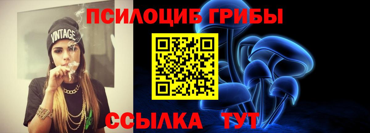 Галлюциногенные грибы прущие грибы  дарнет шоп  Хасавюрт  Вход с VPN 